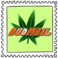 Budmail logo