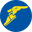Goodyear Footwear USA logo