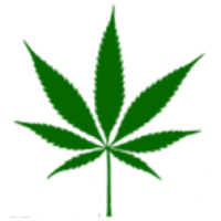 Green Health Docs logo