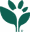 Green Sprouts Baby logo