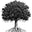 Legacy Food Storage logo
