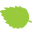 Loose Leaf Tea Market logo