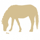 New Forest Cottages UK logo