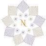 Nine Stars Online logo
