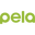 Pela Vision logo