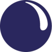 Protect Your Bubble UK logo