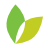 Shaws Supermarket and Star Market logo