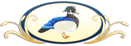 The Wooden Duck logo