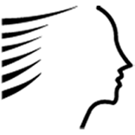 Thehairstyler logo
