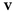 Vamps NYC logo