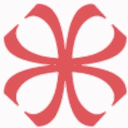 Velvet Eyewear logo