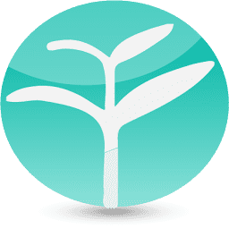 Yoyo Chinese logo